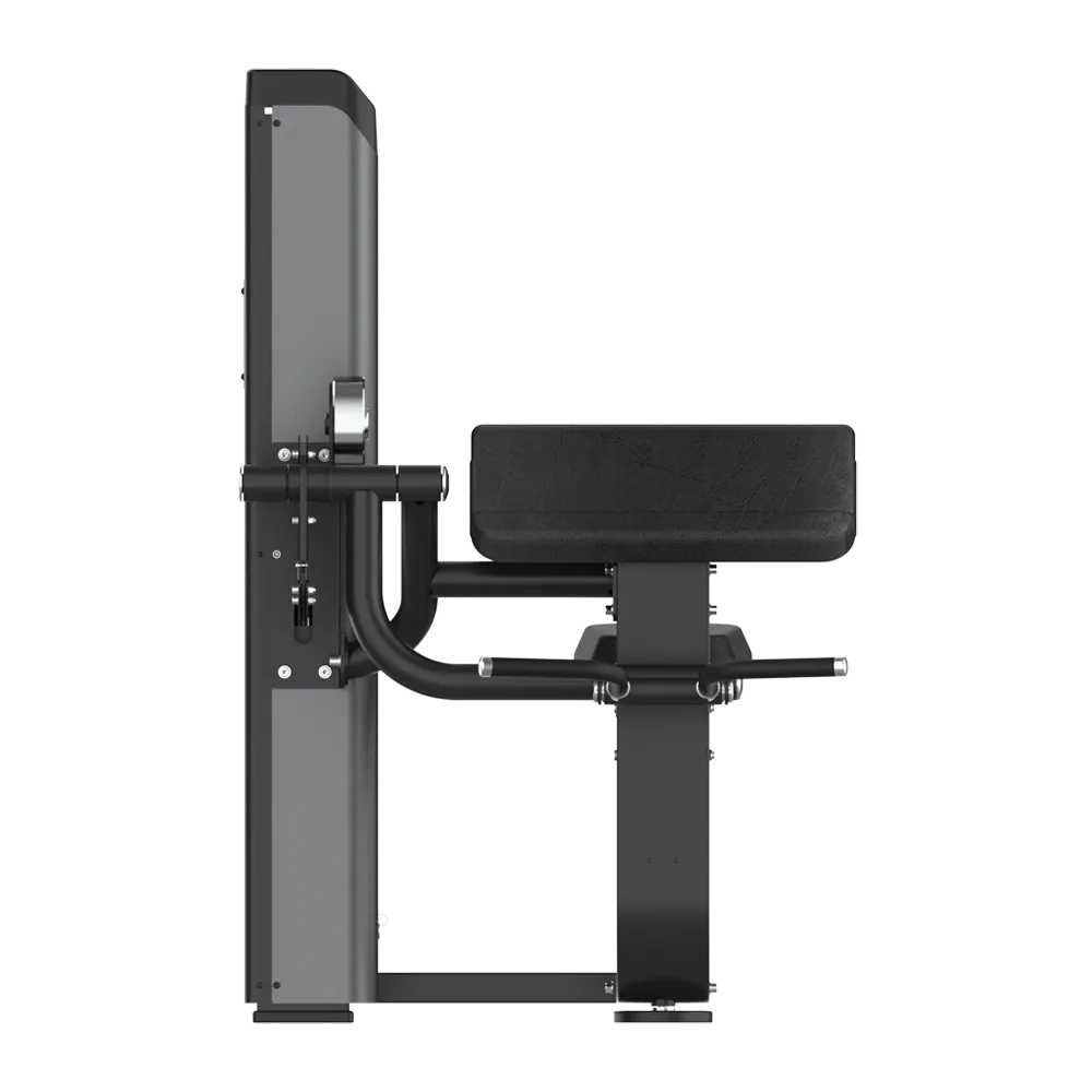 Seated Biceps Curl - view 3