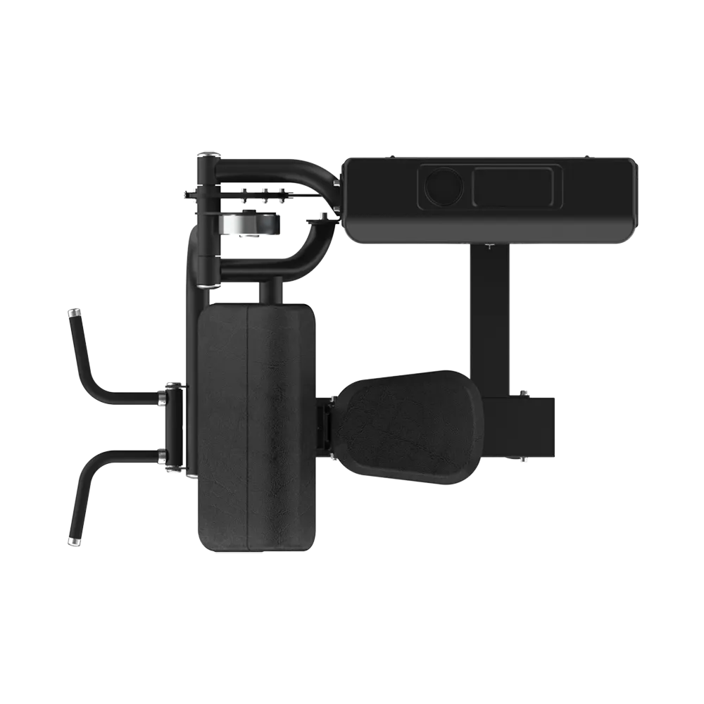 Seated Biceps Curl - view 4